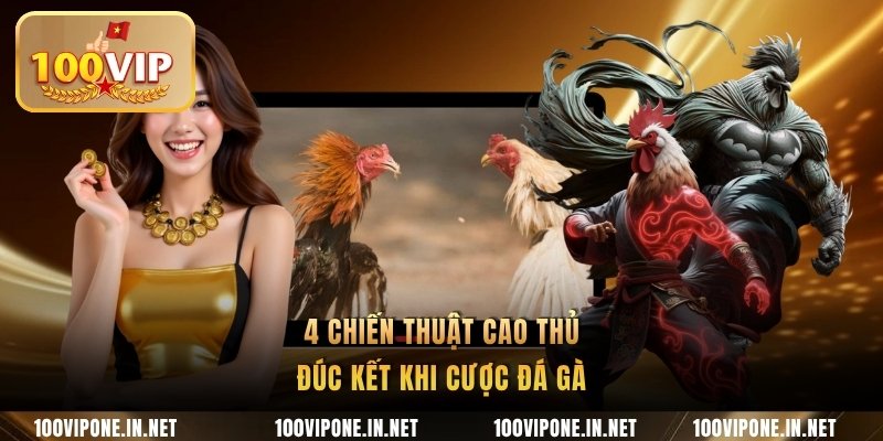 4 chiến thuật cao thủ đúc kết khi cược đá gà