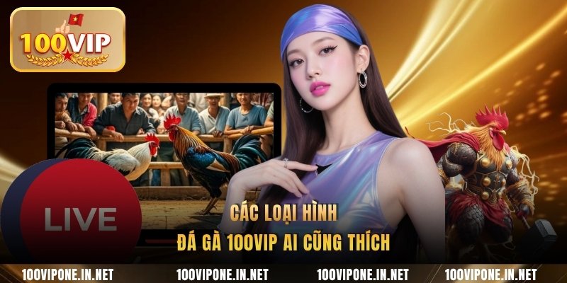 Các loại hình đá gà 100VIP ai cũng thích