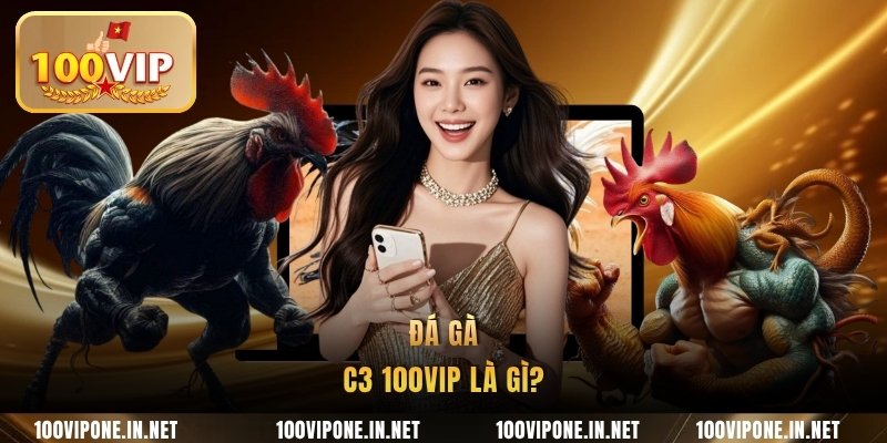 Đá gà C3 100VIP là gì?
