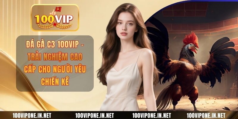 Đá Gà C3 100VIP - Trải Nghiệm Cao Cấp Cho Người Yêu Chiến Kê