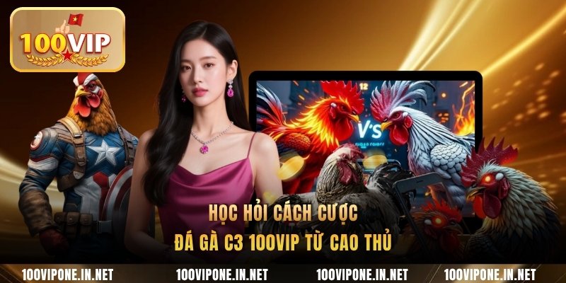 Học hỏi cách cược đá gà C3 100VIP từ cao thủ