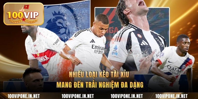 Nhiều loại kèo tài xỉu mang đến trải nghiệm đa dạng