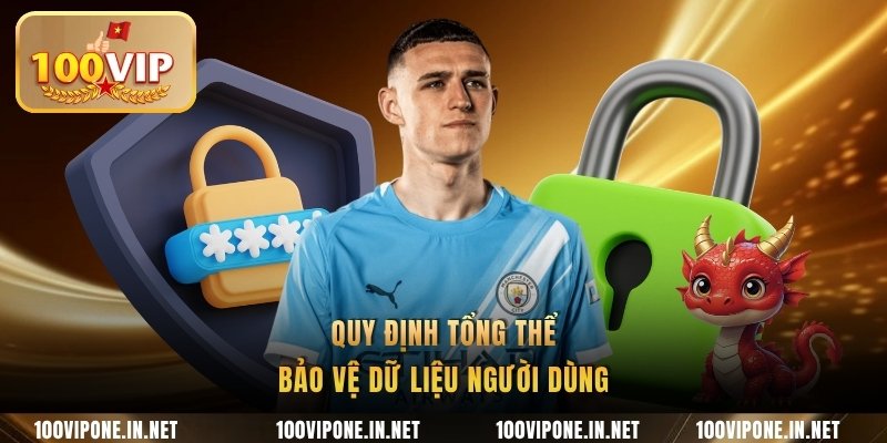 Quy định tổng thể bảo vệ dữ liệu người dùng