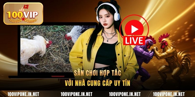 Sân chơi hợp tác với nhà cung cấp uy tín